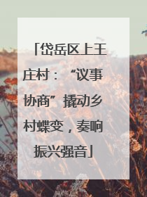 岱岳区上王庄村：“议事协商”撬动乡村蝶变，奏响振兴强音