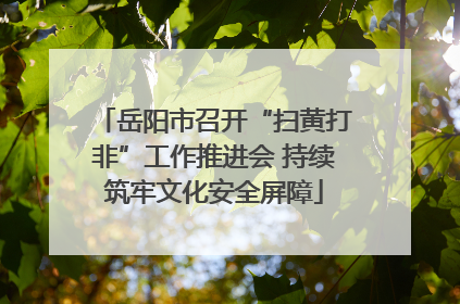 岳阳市召开“扫黄打非”工作推进会 持续筑牢文化安全屏障