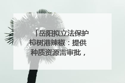 岳阳拟立法保护樟树港辣椒：提供种质资源需审批，违规最高罚5万