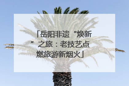 岳阳非遗“焕新”之旅：老技艺点燃旅游新烟火