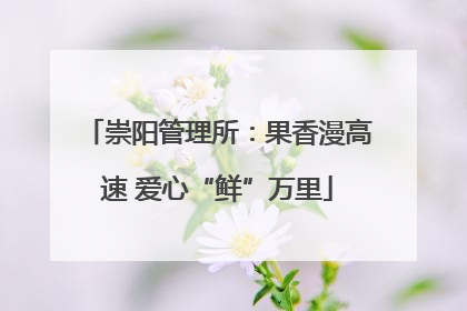崇阳管理所：果香漫高速 爱心“鲜”万里