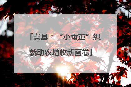 嵩县：“小蚕茧”织就助农增收新画卷