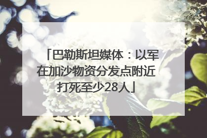 巴勒斯坦媒体：以军在加沙物资分发点附近打死至少28人