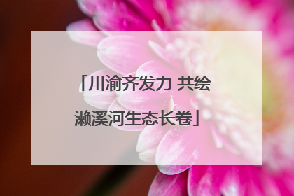 川渝齐发力 共绘濑溪河生态长卷