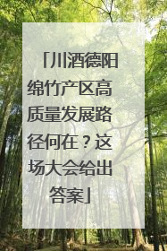 川酒德阳绵竹产区高质量发展路径何在？这场大会给出答案