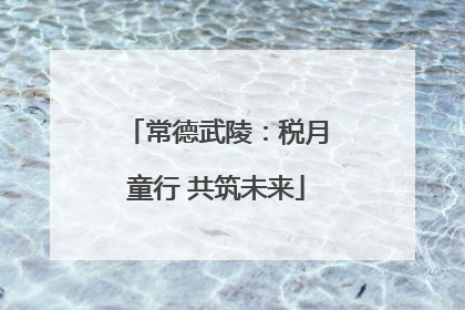 常德武陵：税月童行 共筑未来
