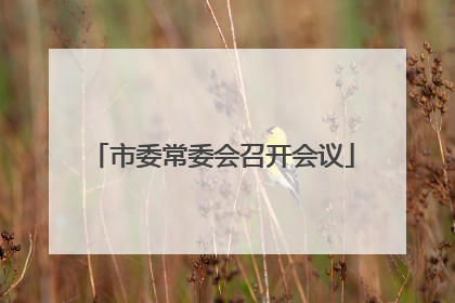 市委常委会召开会议