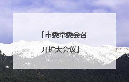 市委常委会召开扩大会议