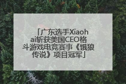 广东选手Xiaohai斩获美国CEO格斗游戏电竞赛事《饿狼传说》项目冠军