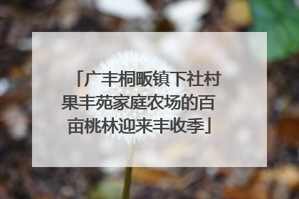 广丰桐畈镇下社村果丰苑家庭农场的百亩桃林迎来丰收季