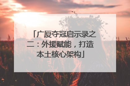 广厦夺冠启示录之二：外援赋能，打造本土核心架构