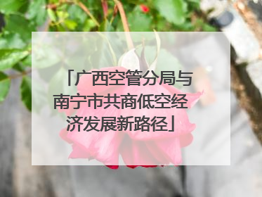 广西空管分局与南宁市共商低空经济发展新路径