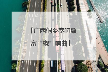 广西侗乡奏响致富“椒”响曲