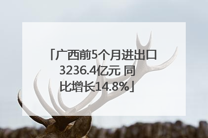 广西前5个月进出口3236.4亿元 同比增长14.8%