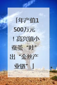 年产值1500万元！高兴镇小蚕茧“吐”出“金丝产业链”