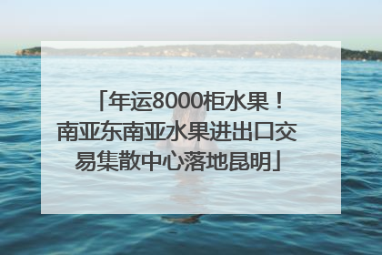 年运8000柜水果！南亚东南亚水果进出口交易集散中心落地昆明