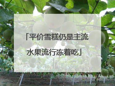 平价雪糕仍是主流 水果流行冻着吃