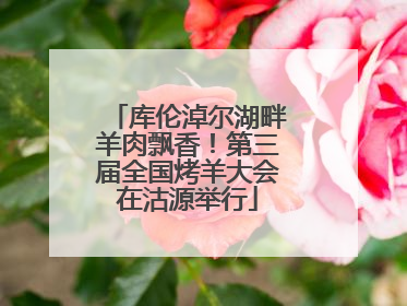 库伦淖尔湖畔羊肉飘香！第三届全国烤羊大会在沽源举行