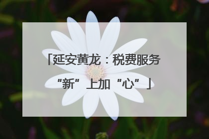 延安黄龙：税费服务“新”上加“心”