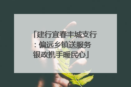 建行宜春丰城支行：偏远乡镇送服务 银政携手暖民心