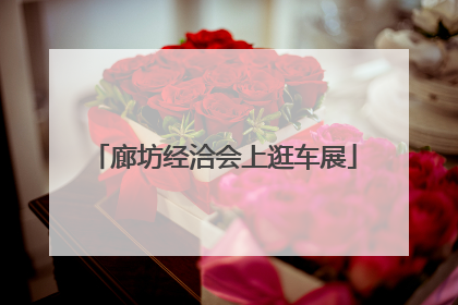 廊坊经洽会上逛车展