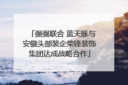 强强联合 蓝天豚与安徽头部装企荣锋装饰集团达成战略合作