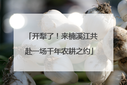 开犁了！来楠溪江共赴一场千年农耕之约