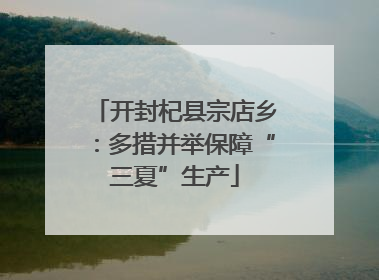 开封杞县宗店乡：多措并举保障“三夏”生产