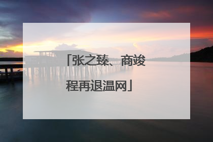 张之臻、商竣程再退温网