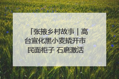张掖乡村故事｜高台宣化黑小麦撬开市民面柜子 石磨激活村集体钱匣子