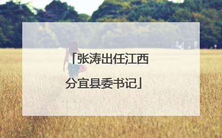 张涛出任江西分宜县委书记