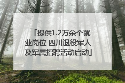 提供1.2万余个就业岗位 四川退役军人及军属招聘活动启动