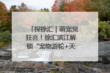 探徐汇｜萌宠党狂喜！徐汇滨江解锁“宠物游轮+天台乐园”双玩法