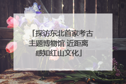 探访东北首家考古主题博物馆 近距离感知红山文化