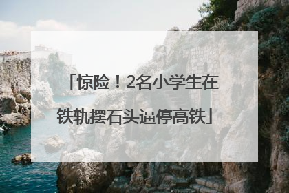 惊险！2名小学生在铁轨摆石头逼停高铁