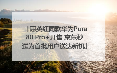 惠英红同款华为Pura 80 Pro+开售 京东秒送为首批用户送达新机