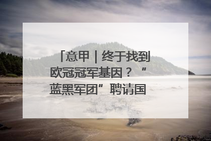 意甲｜终于找到欧冠冠军基因？“蓝黑军团”聘请国米名宿齐沃执教