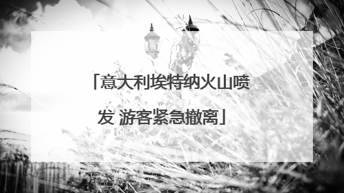 意大利埃特纳火山喷发 游客紧急撤离
