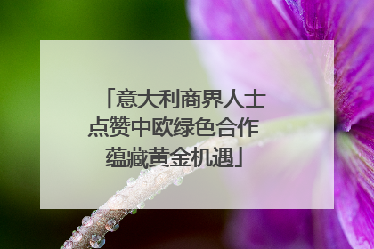 意大利商界人士点赞中欧绿色合作蕴藏黄金机遇