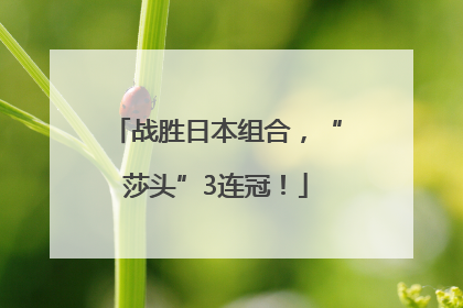 战胜日本组合，“莎头”3连冠！