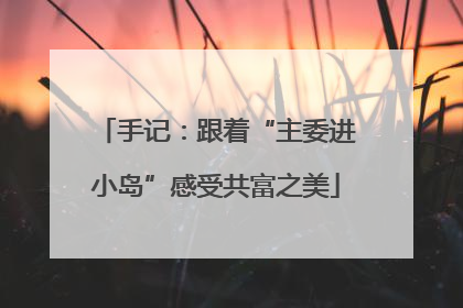 手记：跟着“主委进小岛”感受共富之美