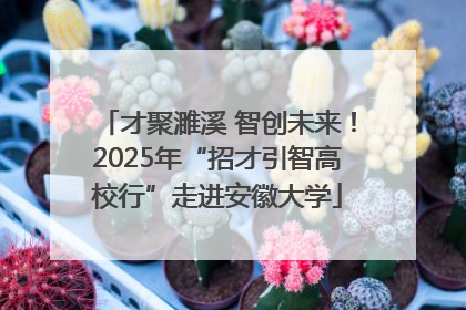 才聚濉溪 智创未来！2025年“招才引智高校行”走进安徽大学