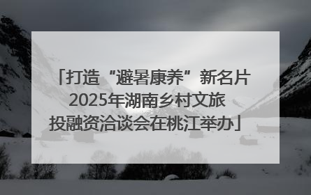 打造“避暑康养”新名片 2025年湖南乡村文旅投融资洽谈会在桃江举办