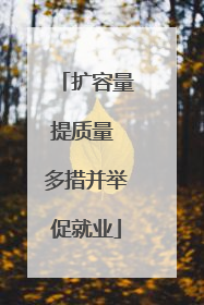 扩容量提质量 多措并举促就业