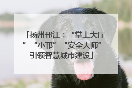 扬州邗江：“掌上大厅”“小邗”“安全大师”引领智慧城市建设