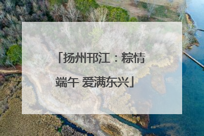 扬州邗江：粽情端午 爱满东兴