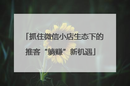 抓住微信小店生态下的推客“躺赚”新机遇