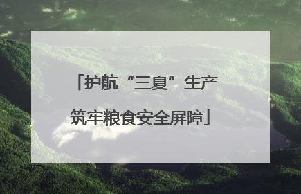 护航“三夏”生产 筑牢粮食安全屏障