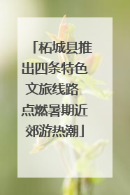 柘城县推出四条特色文旅线路 点燃暑期近郊游热潮