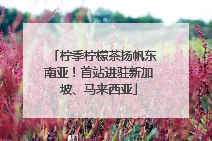 柠季柠檬茶扬帆东南亚！首站进驻新加坡、马来西亚